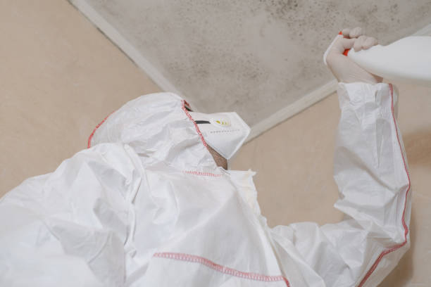 Best Mold Remediation for Specific Building Types in Midway, UT